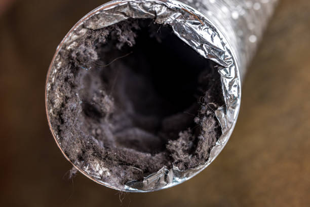 Best Air Duct Cleaning Near Me  in Boston, GA